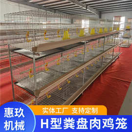 H型粪盘肉鸡笼厂家 托粪盘塑料网水箱  热镀锌丝肉鸡笼定制