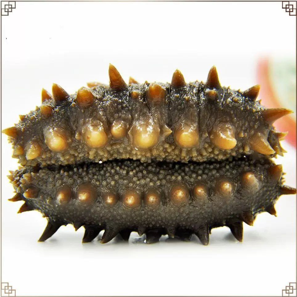 【一件代发】大连即食海参源头工厂冷冻海鲜食劲道辽刺参500g