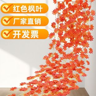 �t���~�ٗl�Gɫ���~���ϻ��٘��~�ٻ��������ֲ��ˮ�ܵ��p�@���l