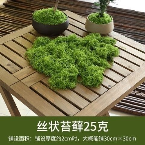 羊毛造景掉色不植物墙水陆缸假山石头仿真苔藓青苔缸藓园林雨淋|undefined