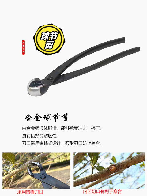 默认文件1654409728387