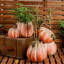 ���⻨����Ï͹ń��₀���̨ͥԺ���@�V���Ϲ��b[��ֲ������