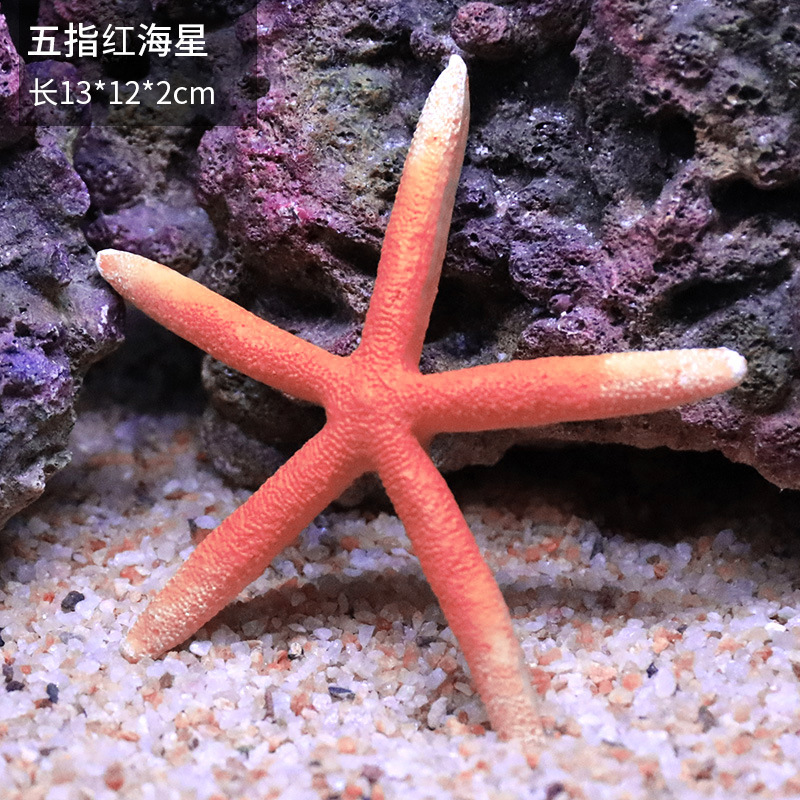 海星1794
