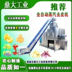 全自动脱皮设备304不锈钢时产1吨番茄去皮 提供工艺培训 适配土豆