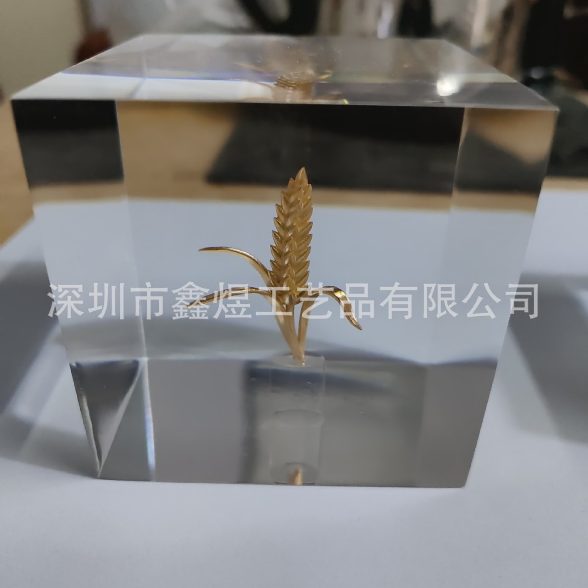 2025-03-12 15:51:34.jpg