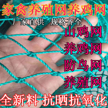 �Bֳ�W�B�u�W�����W�r�u�W���u�W�������ϾW�o�ھW�ˈ@���W���o�W