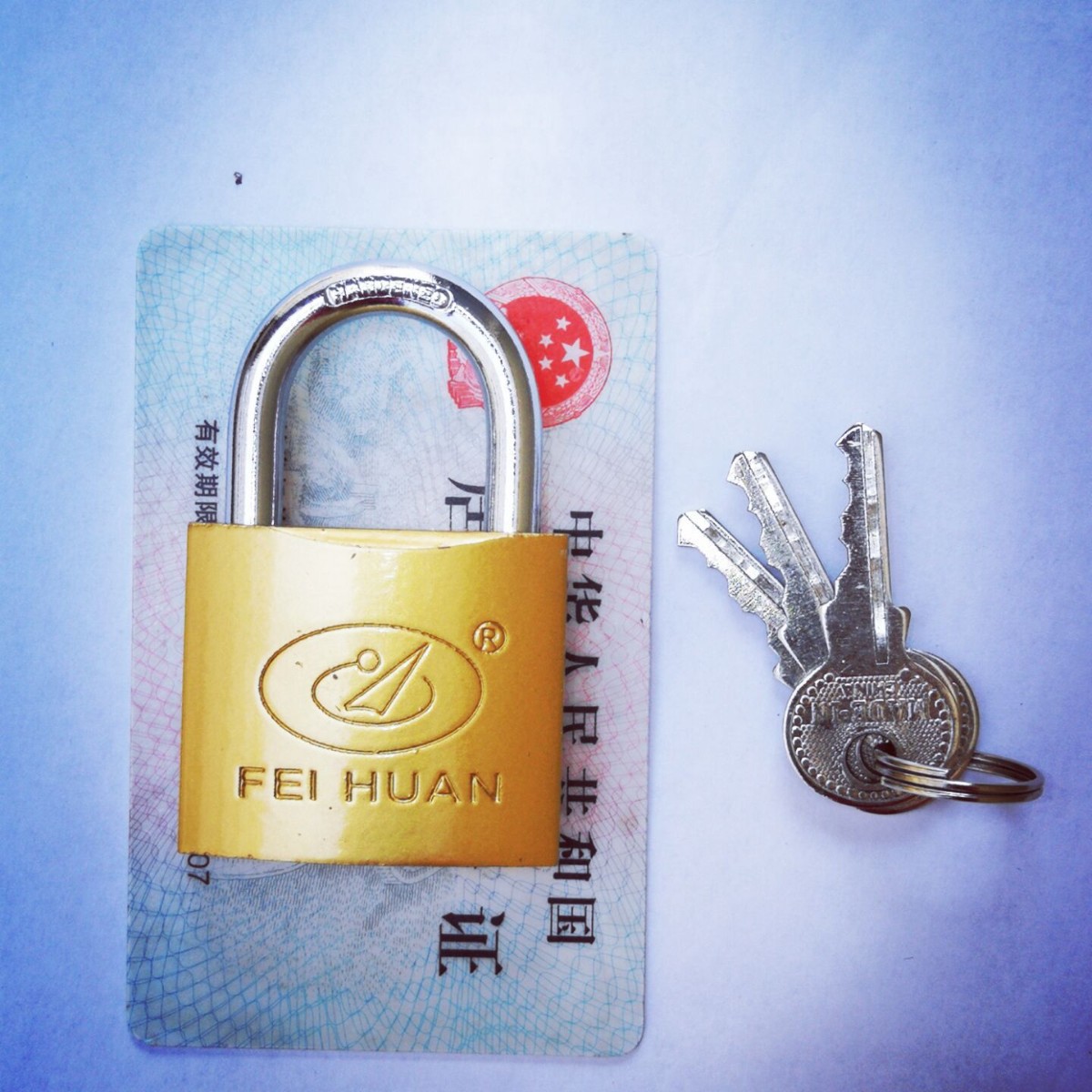 Cerradura de anillo volante cerradura de bloqueo de Internet café cerradura de caja de medidor eléctrico cerradura de cobre cerradura cerradura de gabinete cerradura pequeña cerradura