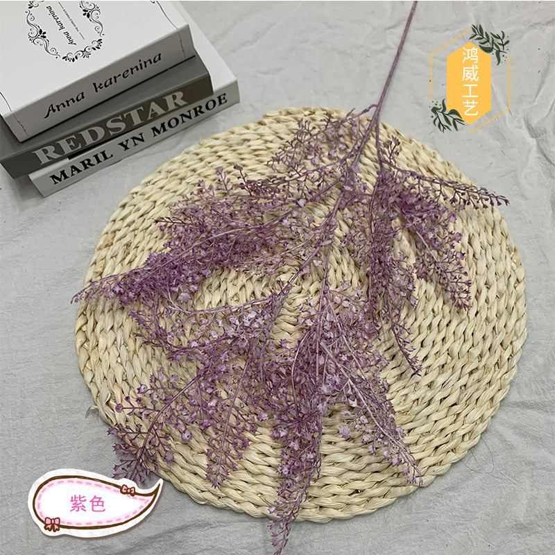 보라색