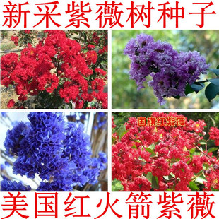 ���l�����t�����ޱ����������t��ޱ�N�Ӽt���ռt�ۻ���ޱ��N��