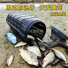 ��̖�����~�~�\�r�\�~�W�S�X���r�W�\�����¿�\�����q��횻\