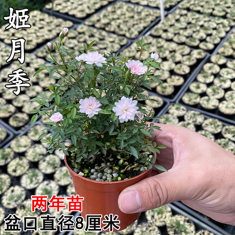 ��������4