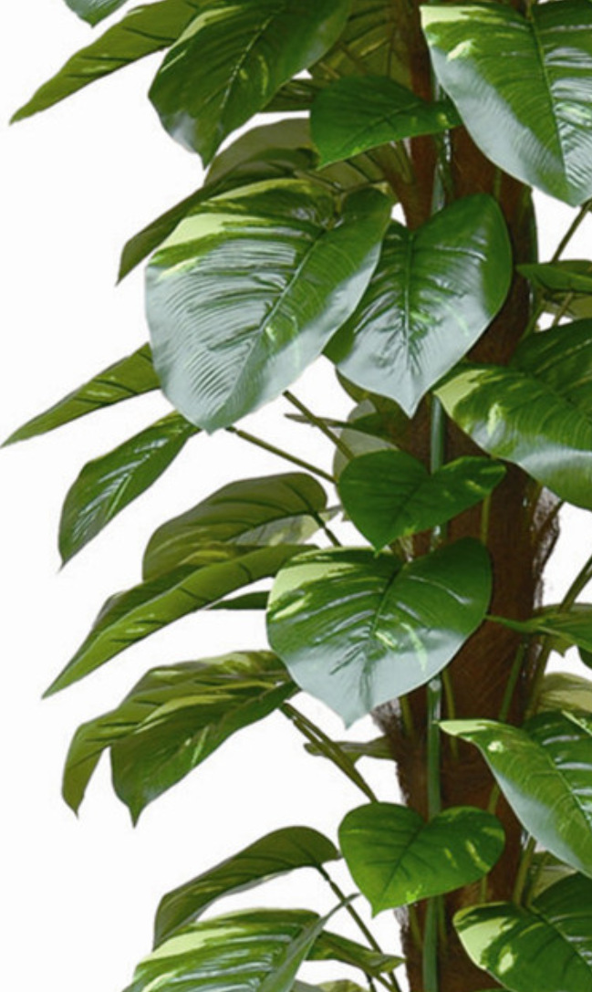 FUENTE Fábrica al por mayor de la planta de simulación árbol 63 Paquete de hojas Goteo marrón Guanyin rábano verde de hoja perenne planta verde árbol falso