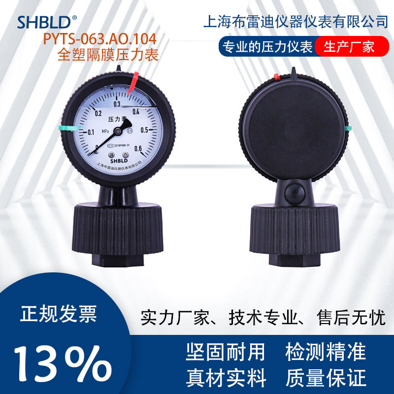 上海布雷迪PP隔膜表PYTSN-063半塑全塑耐震耐腐蚀耐酸碱0-1.6Mpa