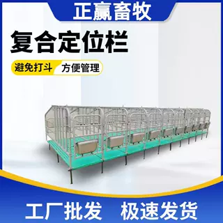 厂家定制猪场定位栏5 位/10 位加厚热镀锌钢管限位栏母猪定位栏