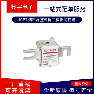 French Fuse Fr22Ua69V80T Fr22Ua60V100T Fr22Am69V4I