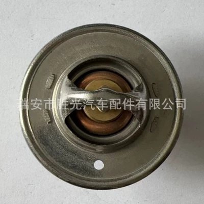 0419-15-171 Thermostat Thermostat