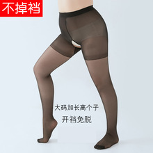 �ļ������ӳ�����˿�࿪����mm200��߸��������Ըк�ɫ������
