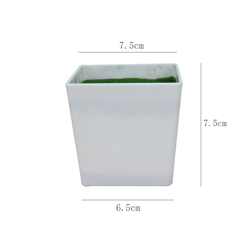 Maceta de Plástico para Cultivo Fuerte y Durable para Decoración del Hogar