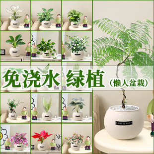 �Gֲ�҃�С��������G�}�׻��ļ��m�ϑ����B�Ļ��k����ֲ���׃��@