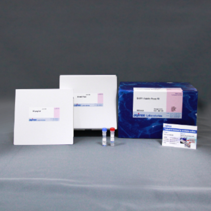 同仁化学B603 Biofilm Viability Assay试剂盒