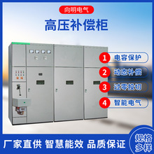 TBB高压补偿装置SVG高压动态无功发生厂家定制  高压电容  补偿柜