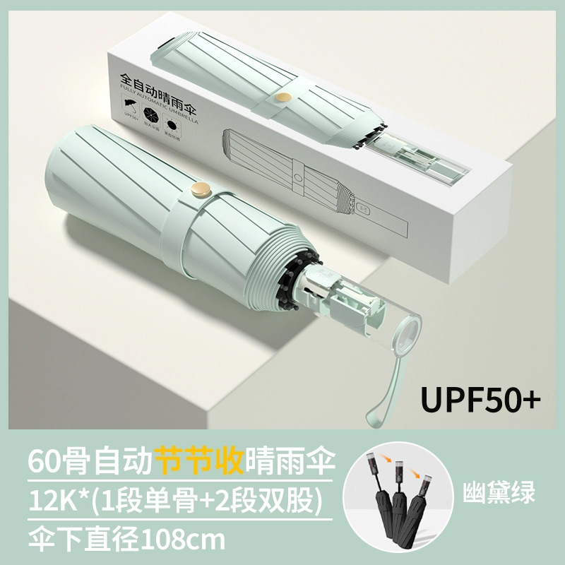 진한 녹색 주식 24주 매수