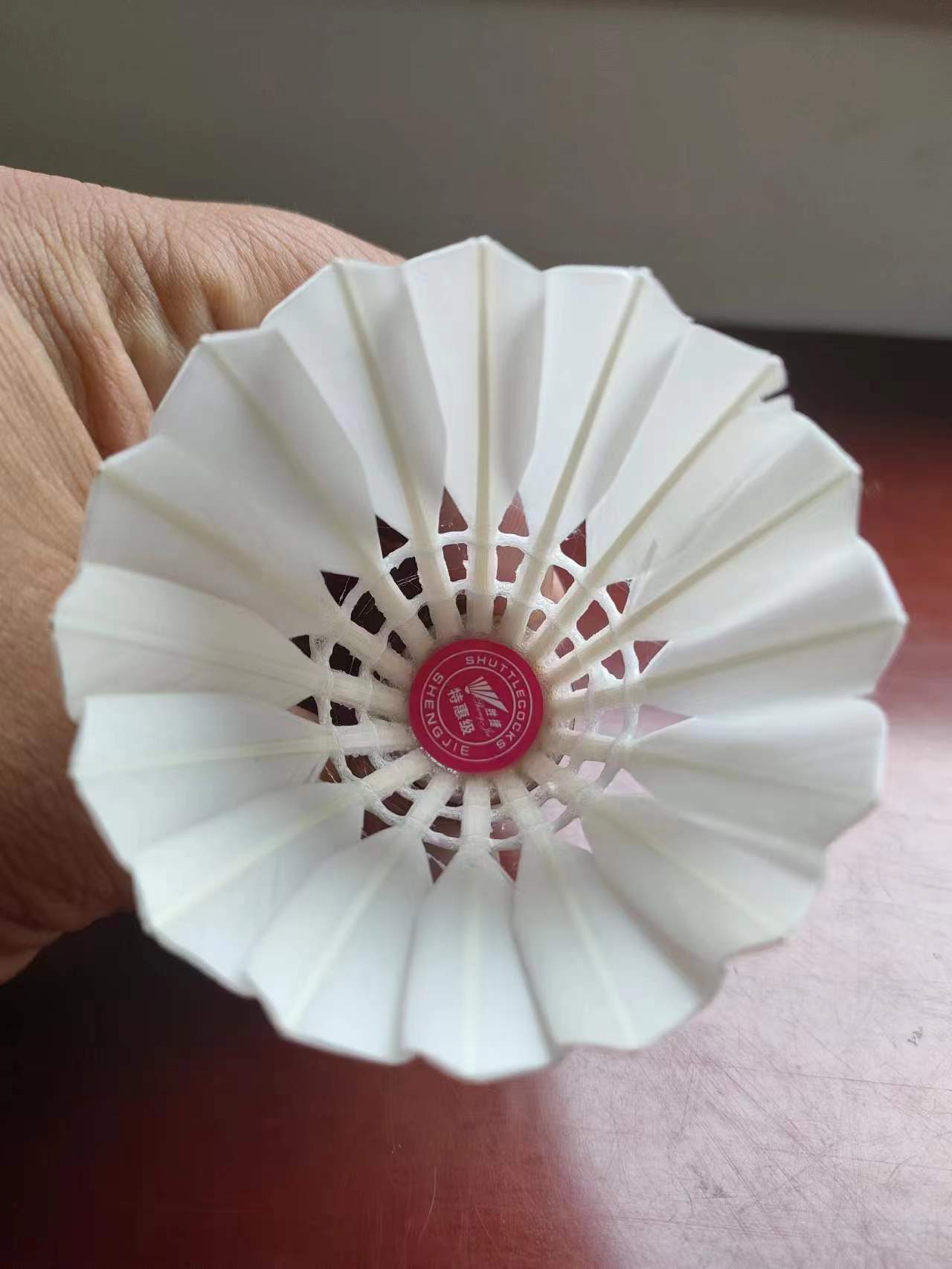 微信图片_20231130145026