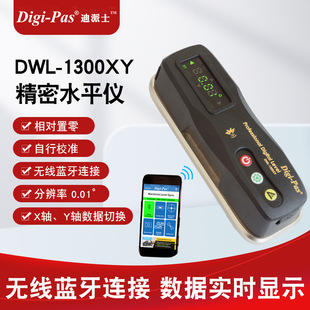 Electronic Level American Digipas Precision Digital Level Dwl1300Xy Imported Water Level