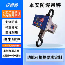 防爆电子吊钩秤 制药化工油漆铸铁厂本安型直视吊磅行车 电子吊磅