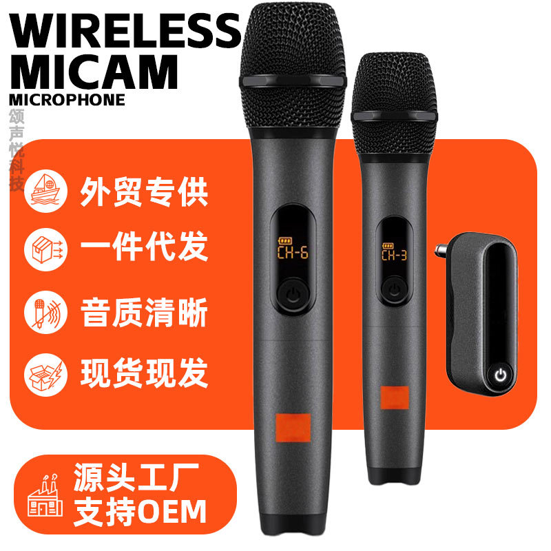 Cross-Border Wireless Microphone One-To-Two Microphone Wirelessmicrophone for Outdoor Karaoke Ktv Performances and Home Use