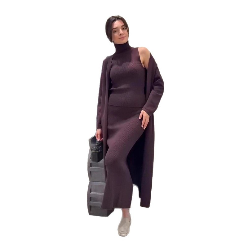 欧美女跨境外贸时尚2025秋新款高领打底针织毛衣长裙包臀长袖外套|undefined