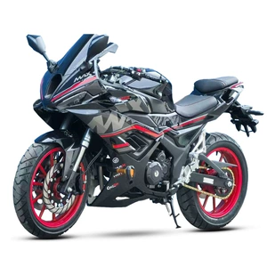 Knife Wolf Twin-Cylinder Water-Cooled Heavy-Duty Street Car, Motorcycle, Large-Displacement Road Race, Can Be Registered as a National Iv Efi Motorcycle