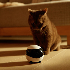 Eboロボット知能ペット監視カメラ家庭付き添い玩具猫電動玩具移動猫