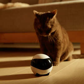ebo机器人智能宠物监控摄像头家庭陪伴玩具猫猫电动玩具移动逗猫