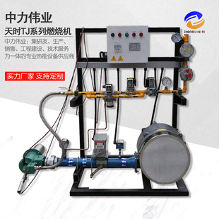 RTO Energy -Assive Gurning Machine Tian Shi Series серия серии Natural Gas Промышленные производители пожарной строки газ DCM Линейное сжигательное устройство
