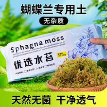 ��̦�\��Ȼ���|��̦ʯ���m���Nֲ�����������|�ĺ����m������ˮ̦