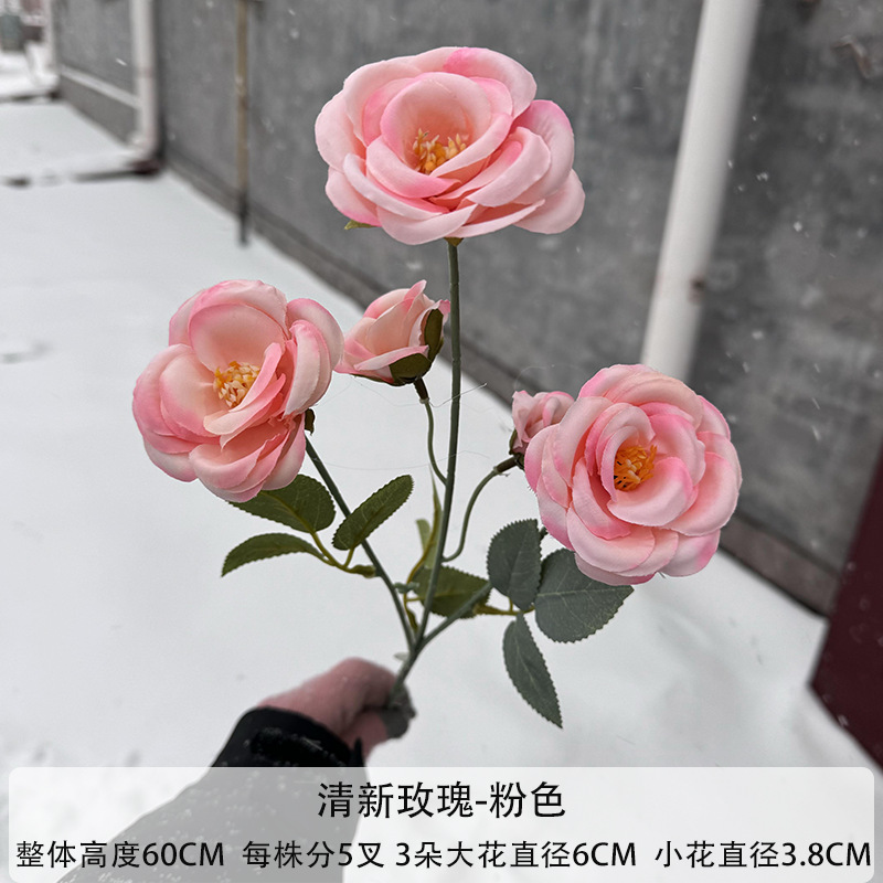 핑크