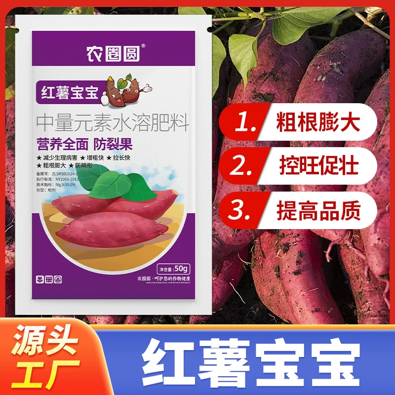 Оптовая продажа детских фруктов из сладкого картофеля, тоннаж сладкого картофеля, средство для увеличения подземного корня, сельскохозяйственный круг, круглый детский сладкий картофель