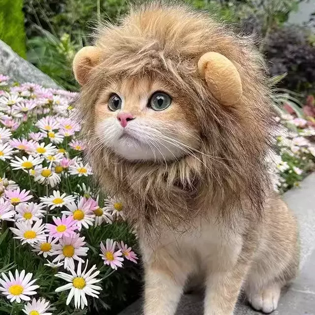 宠物用品小型犬宠物狗帽子猫咪帽搞怪头饰宠物猫小猫可爱变身装扮