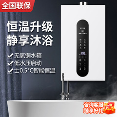 燃气热水器天然气12升液化气煤气平衡式恒温燃气款液化石油气守一