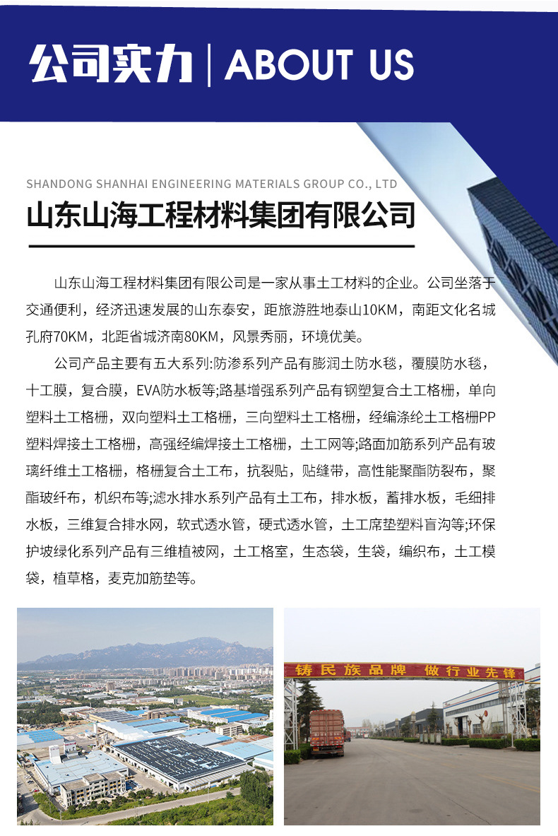 玻纤土工格栅_08.jpg