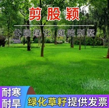 ���ɷf���Ѱ������`̤�ļ����ƺ�N��ͥԺ�e���ߠ�������G������