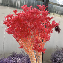 ��Ȼ�����˽ǻ�����ɫDIY�ֹ��b��ϲ廨����b[�� �S�����l