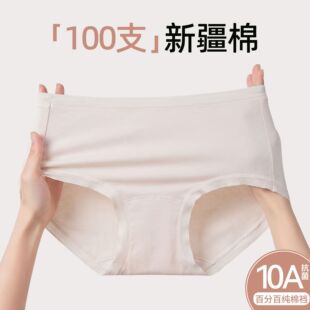 大码女款内裤