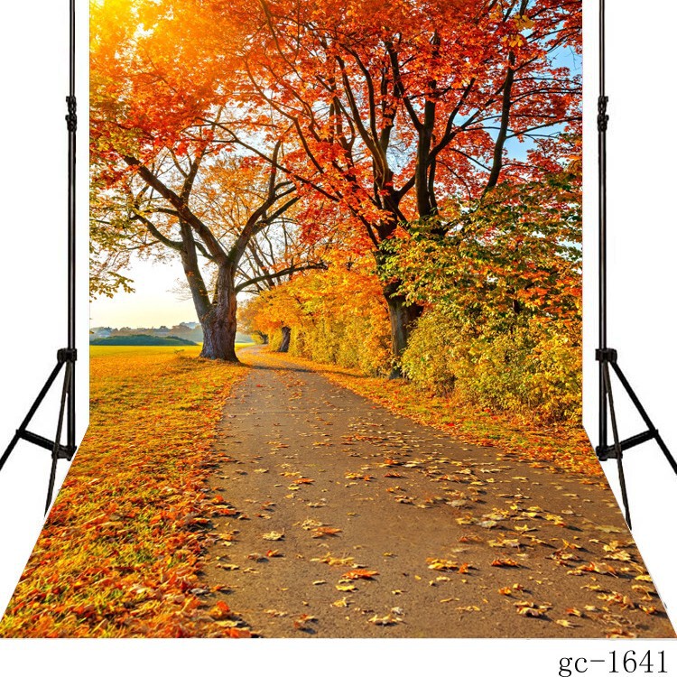 Amazon Photography Background Cloth Cross-border Direct Supply Festival Curtain Products Video Background Board Autumn Scenery Tapestry
