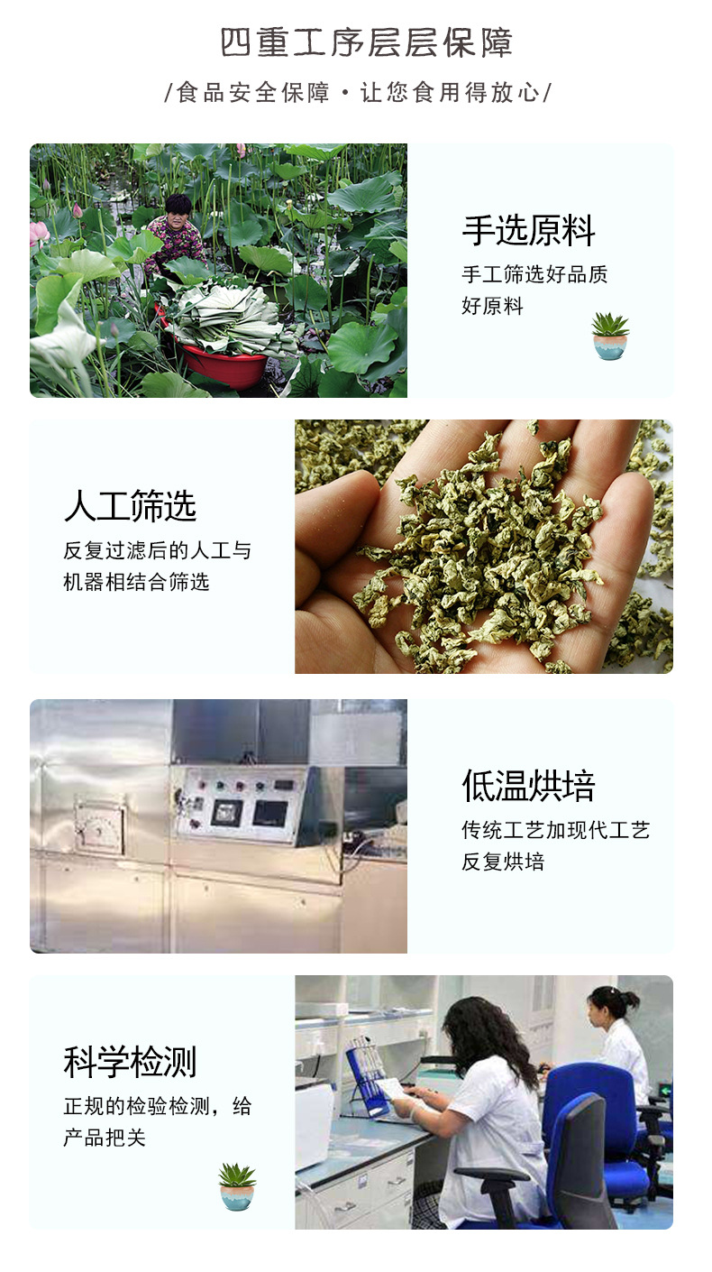 Lotus Leaf Granules He Ye Tea 500g Freeze Dried Shandong Herbal Wellness Drink quality and texture