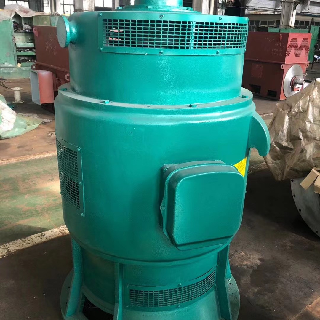 JSL12-6-185KW 立式水泵用三相鼠笼式JSL系列电动机厂家直销