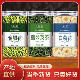 沈之问金银花蒲公英白菊花金银花菊花蒲公英四季男女生泡水养生茶