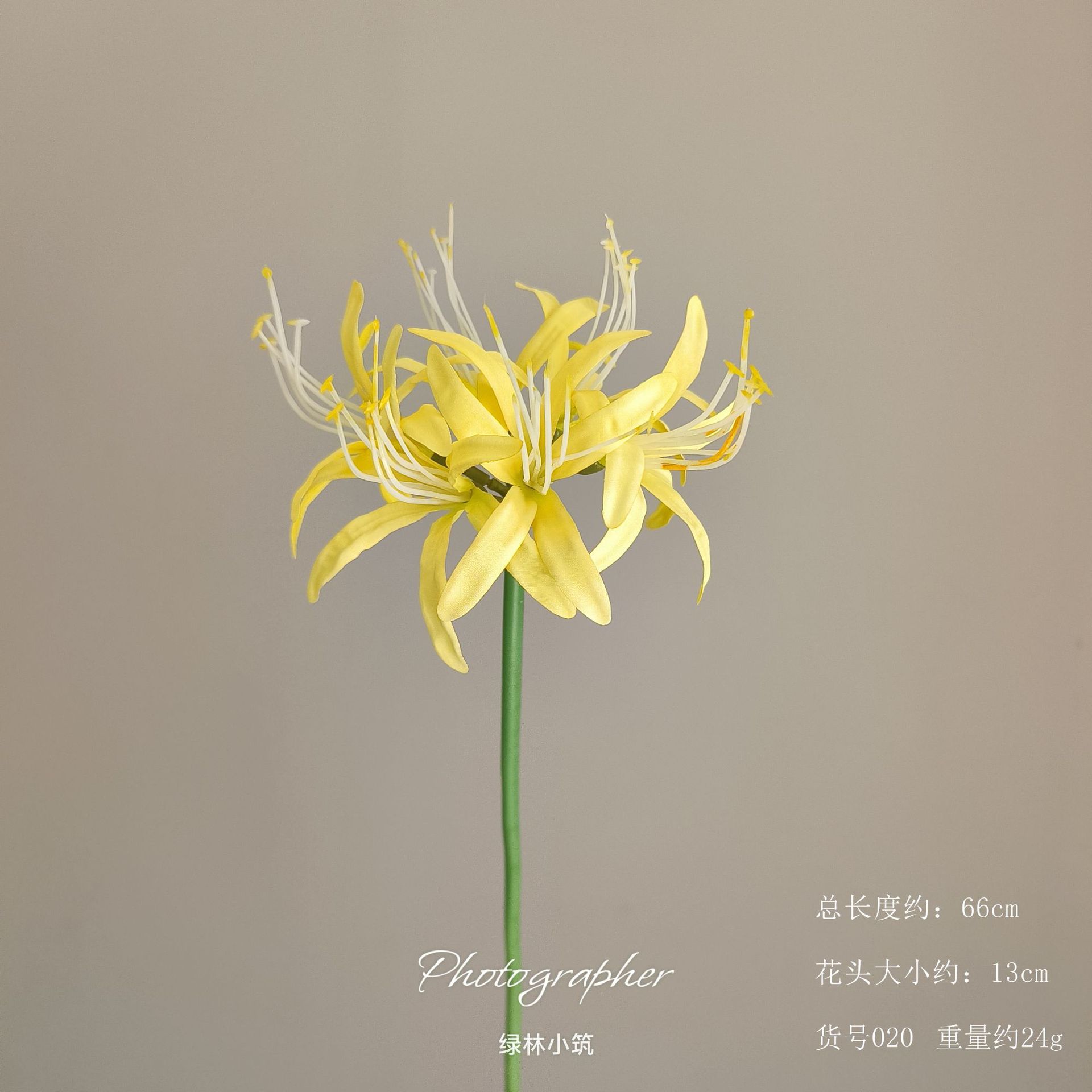 품목번호 20-만주샤화