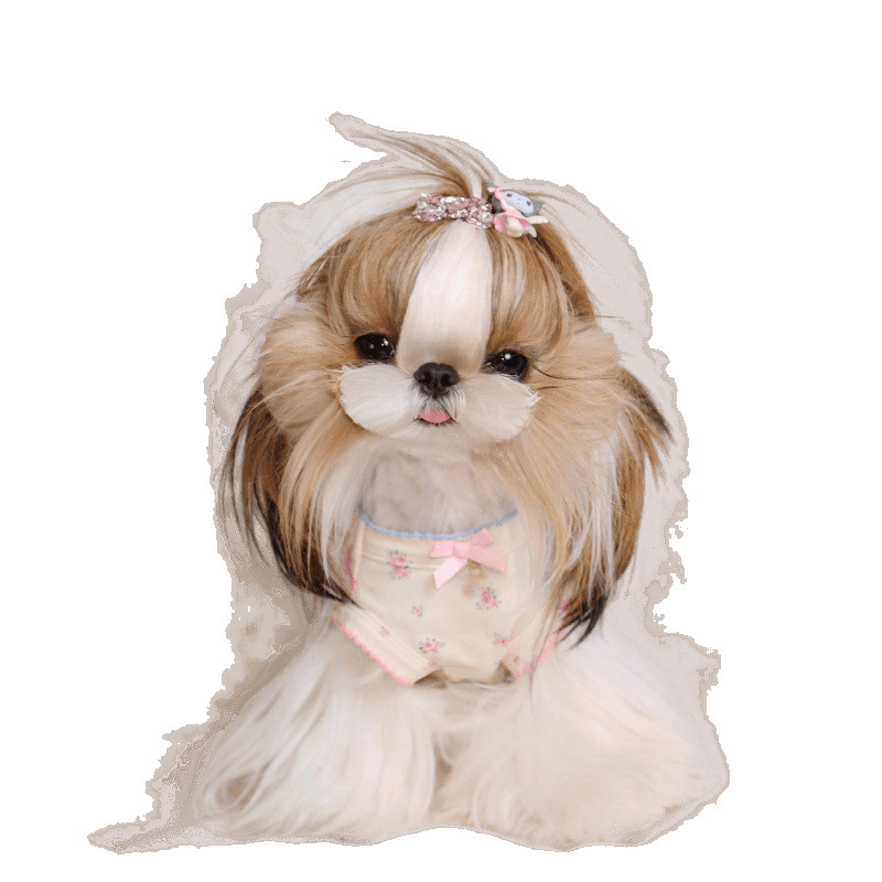 Perro mascota gato primavera verano lindo chaleco floral falda ropa de casa Teddy Bichon transpirable ropa para perros pequeños